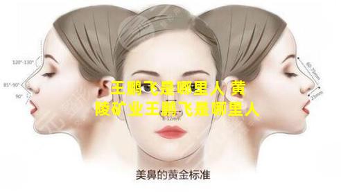 王鹏飞是哪里人 黄陵矿业王鹏飞是哪里人
